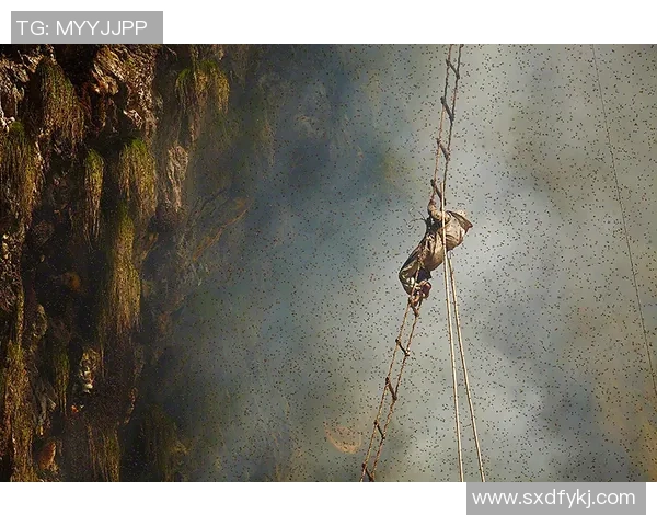 杭州攀岩队勇闯新高峰的反击之路与创新实践探索